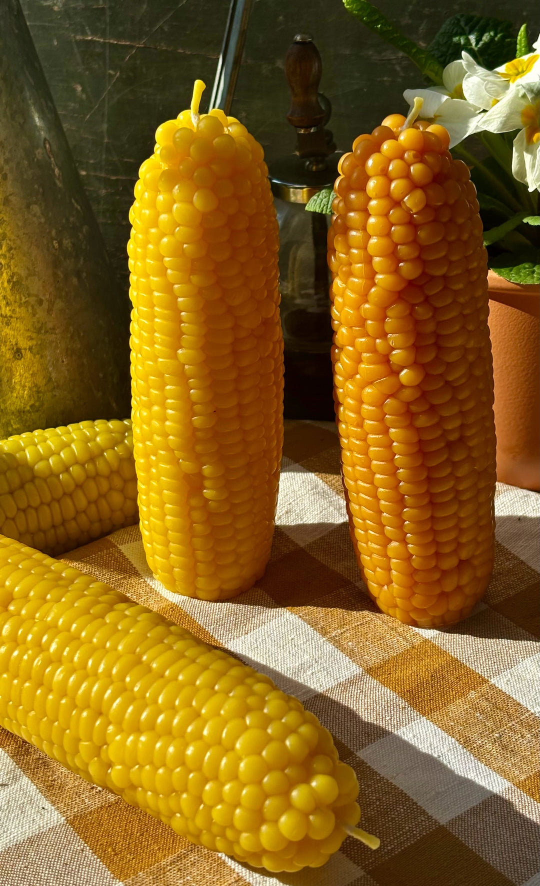 BEESWAX CORN CANDLE