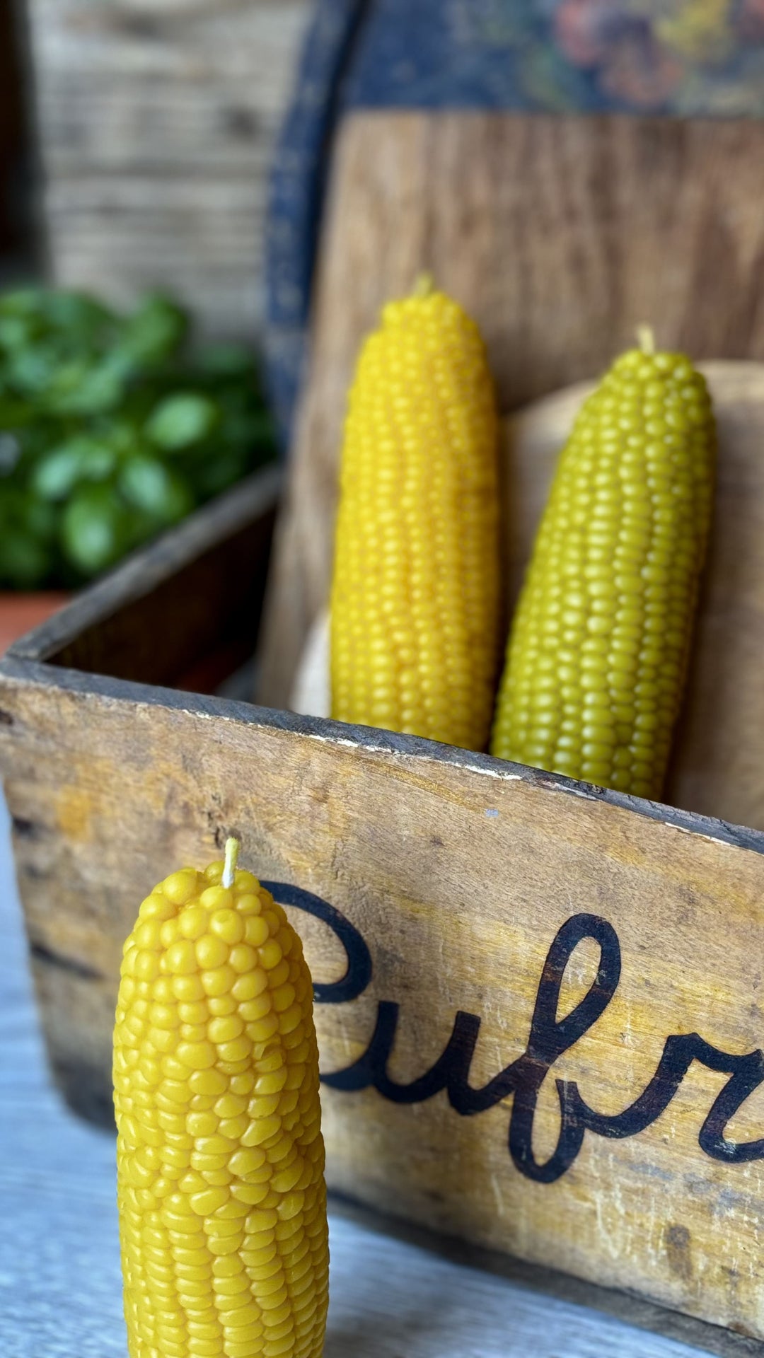 BEESWAX CORN CANDLE
