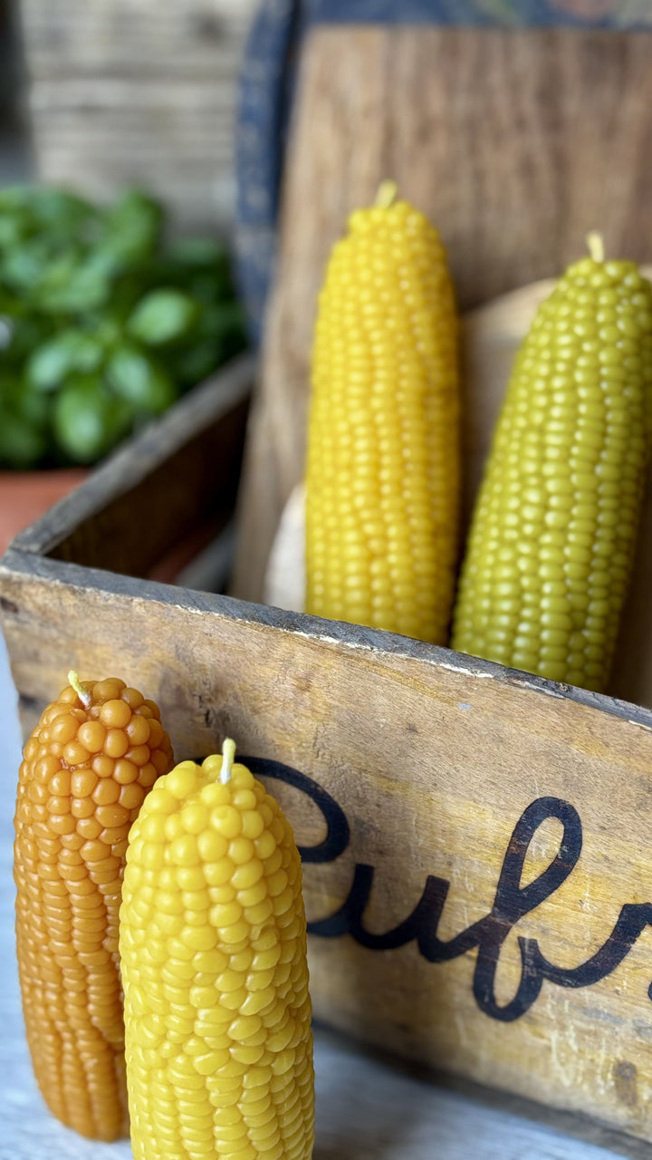 BEESWAX CORN CANDLE
