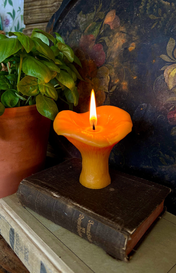 BEESWAX MUSHROOM CANDLE SET