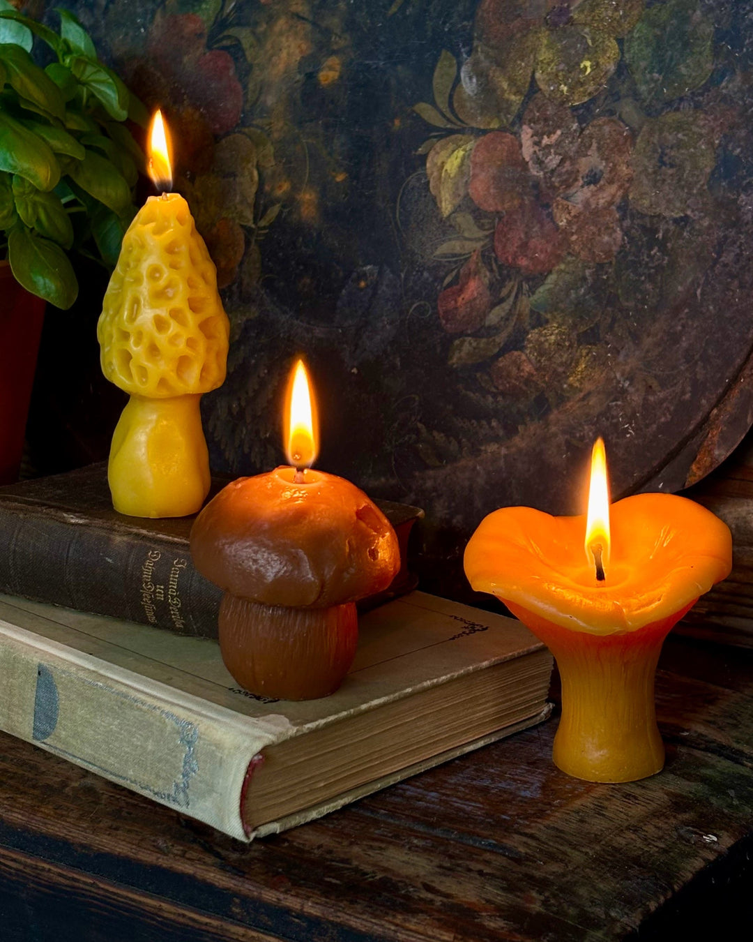 BEESWAX MUSHROOM CANDLE SET