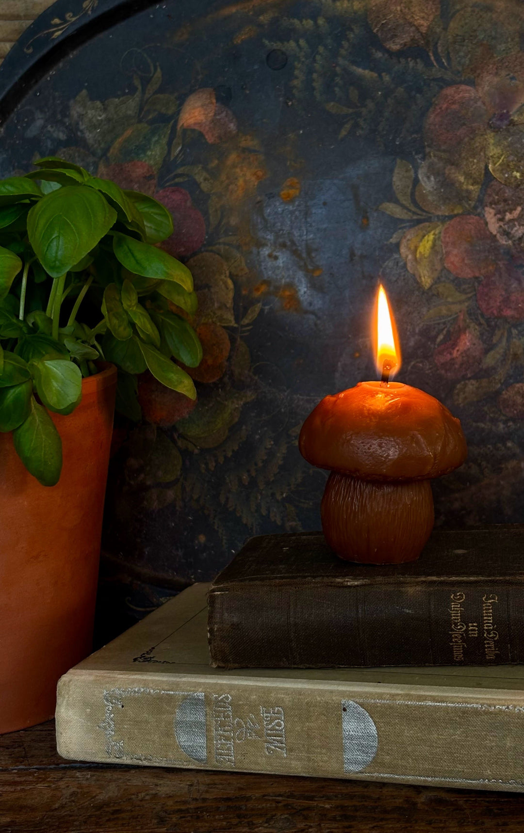 BEESWAX MUSHROOM CANDLE SET