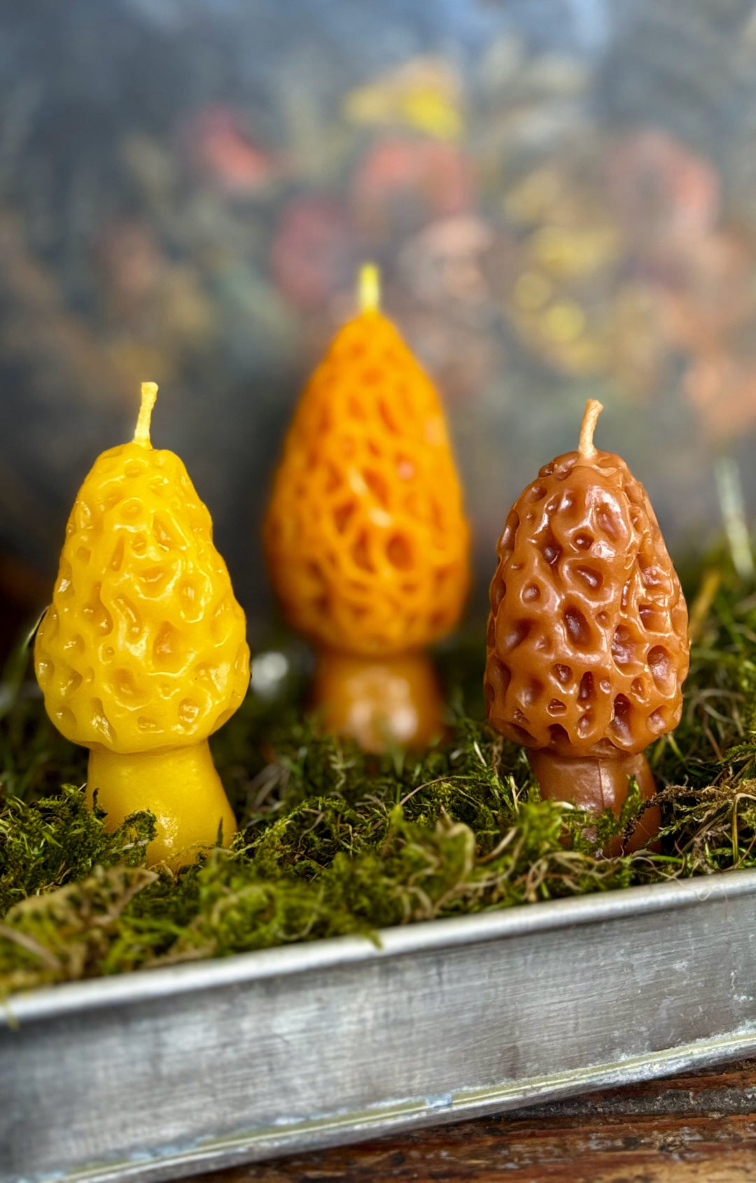 BEESWAX MUSHROOM CANDLE SET