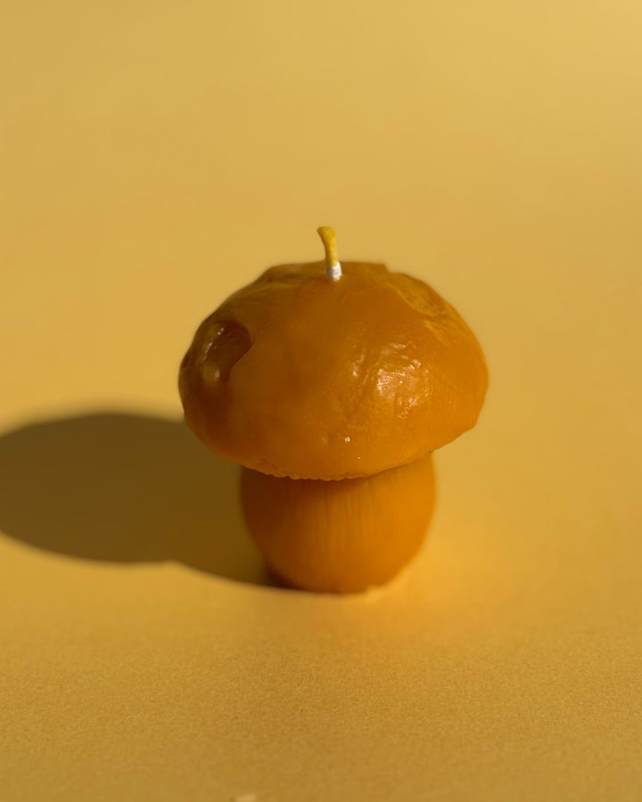 BEESWAX BOLETUS CANDLE