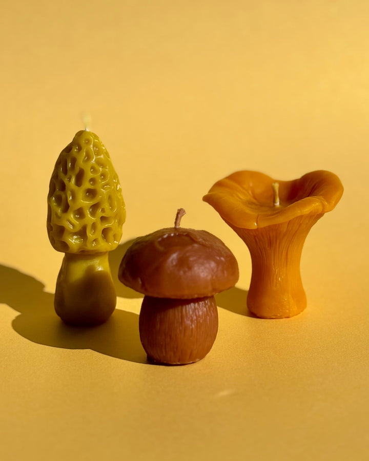BEESWAX MUSHROOM CANDLE SET