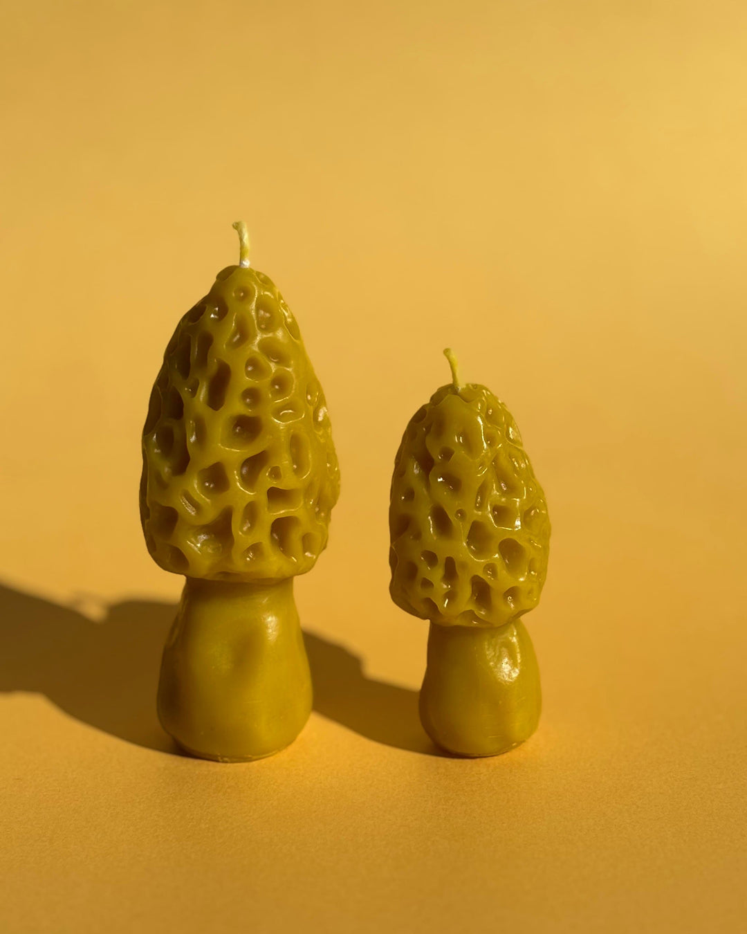 BEESWAX MOREL CANDLE SET