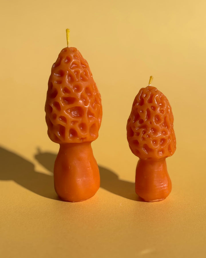 BEESWAX MOREL CANDLE SET