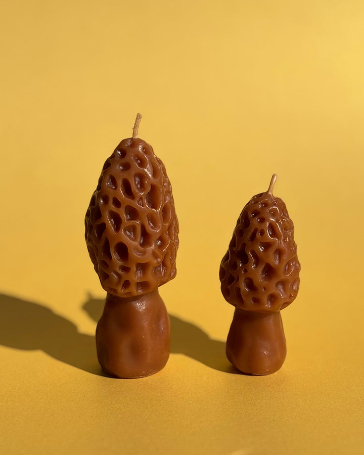 BEESWAX MOREL CANDLE SET