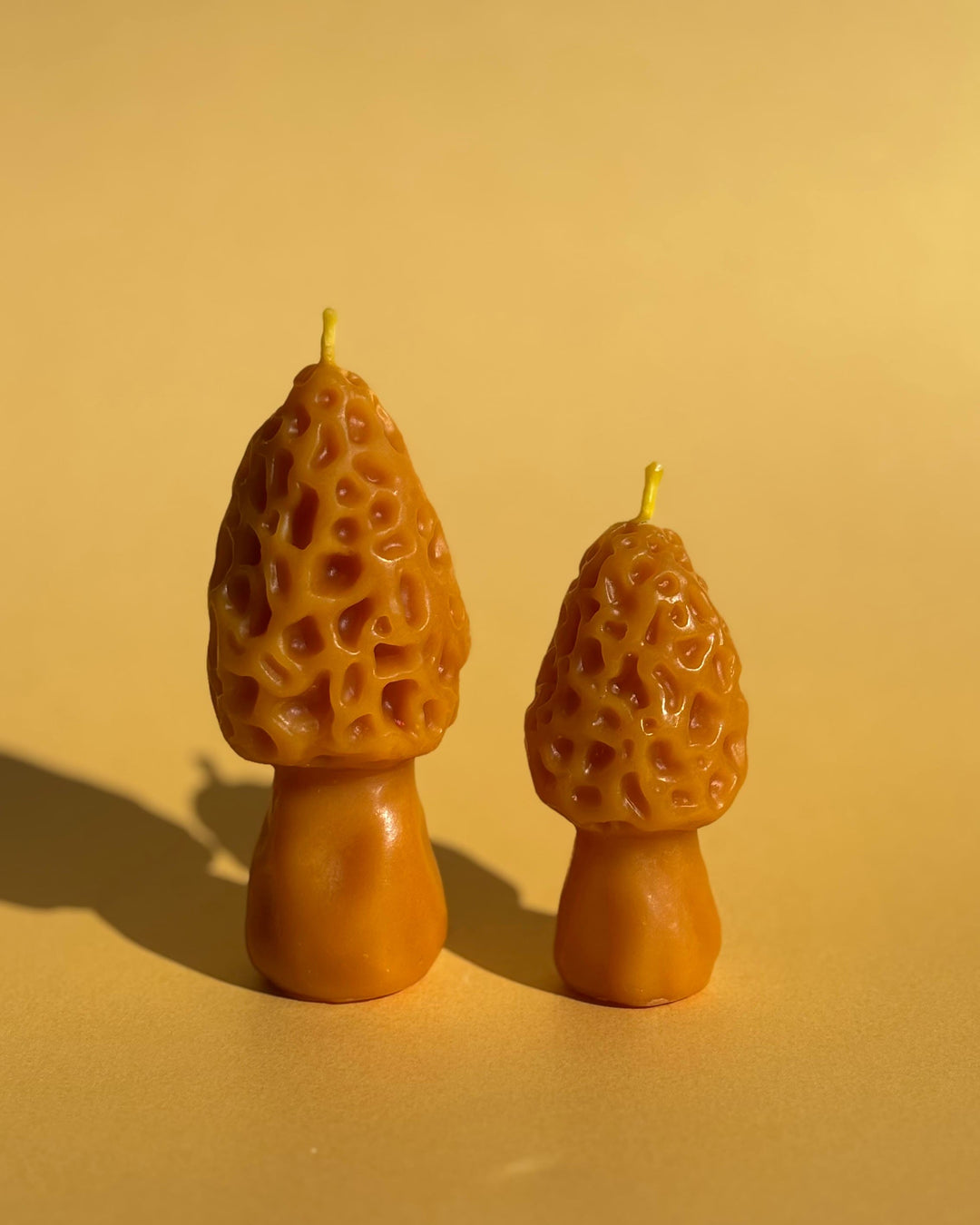 BEESWAX MOREL CANDLE SET