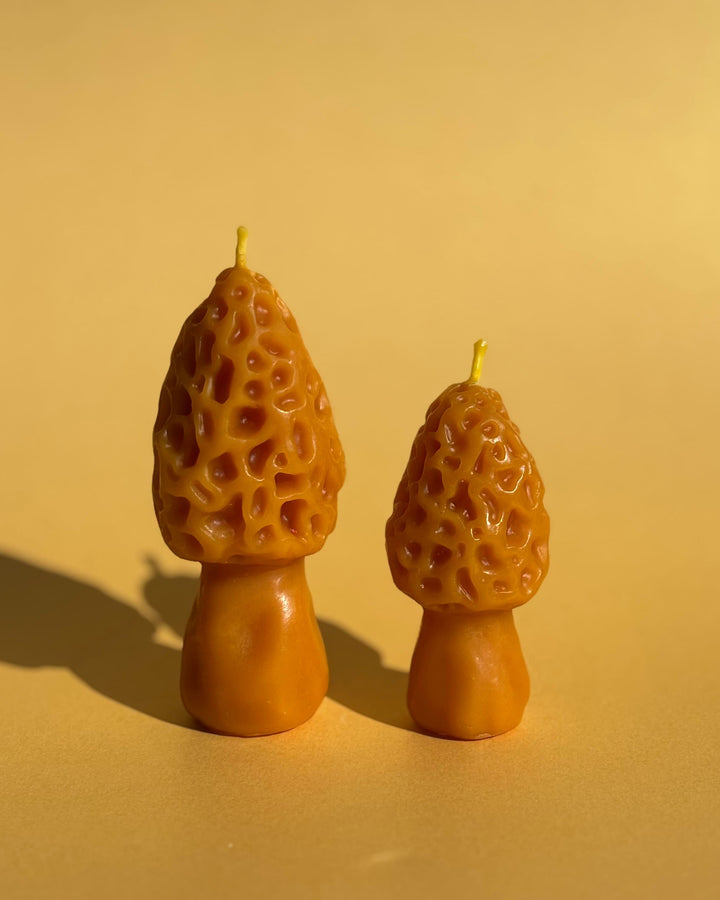 BEESWAX MOREL CANDLE SET