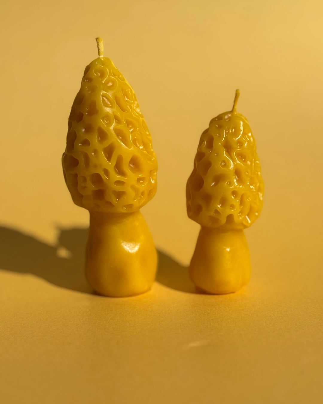 BEESWAX MOREL CANDLE SET