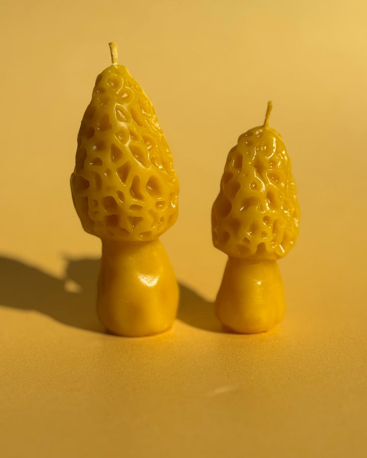 BEESWAX MOREL CANDLE SET