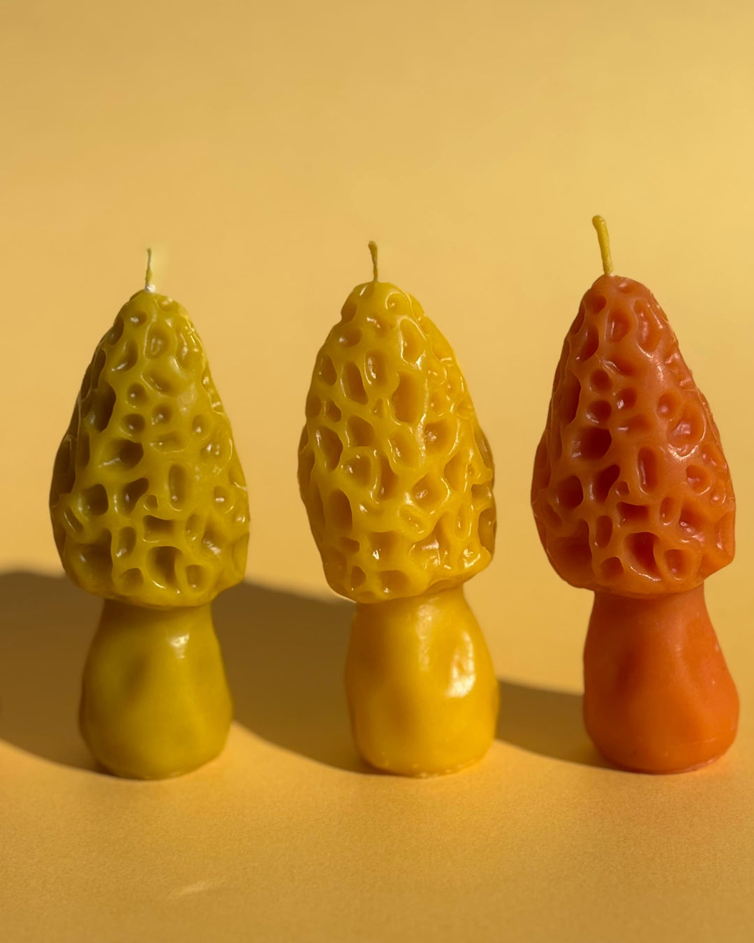 BEESWAX MOREL CANDLE SET