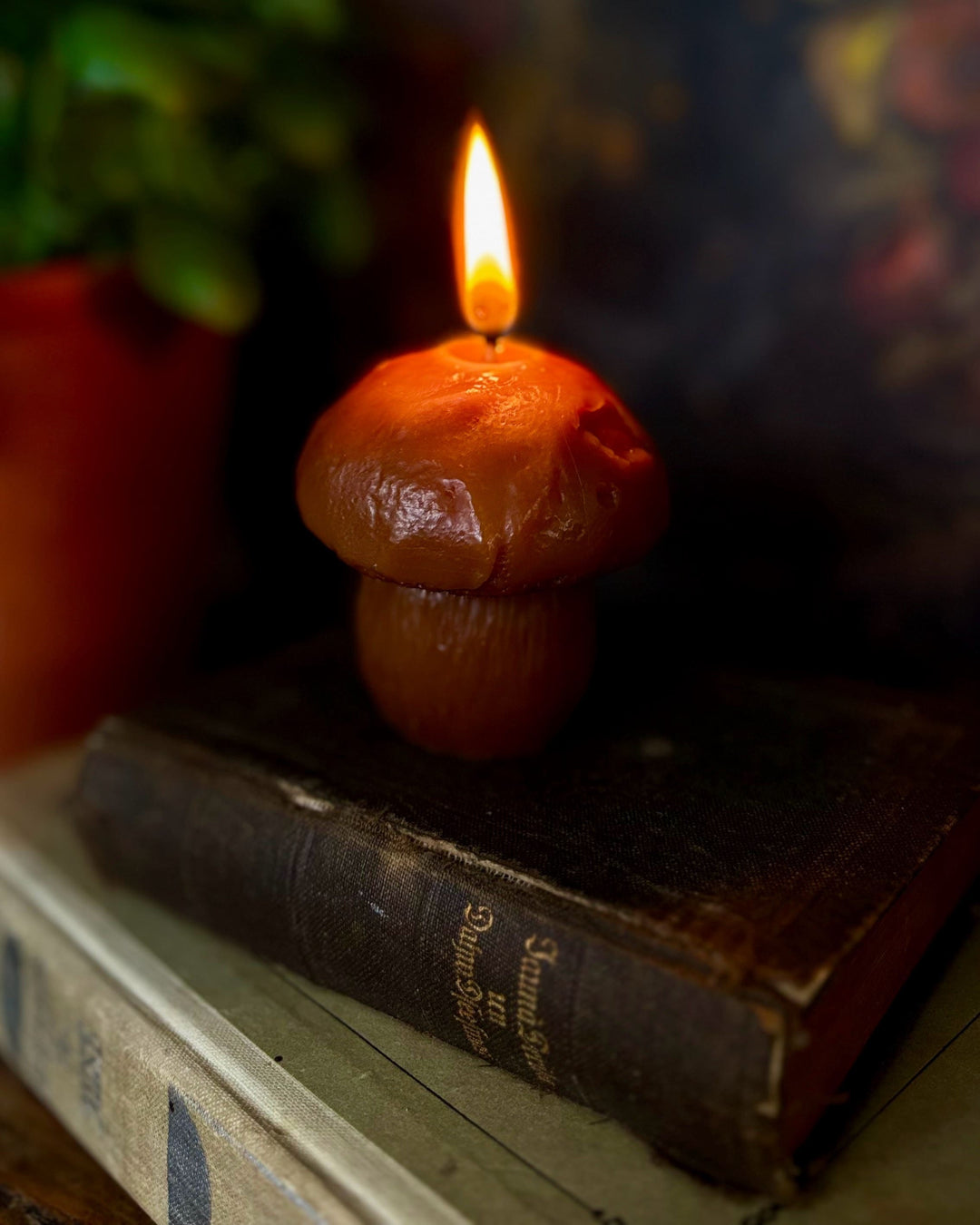 BEESWAX MUSHROOM CANDLE SET