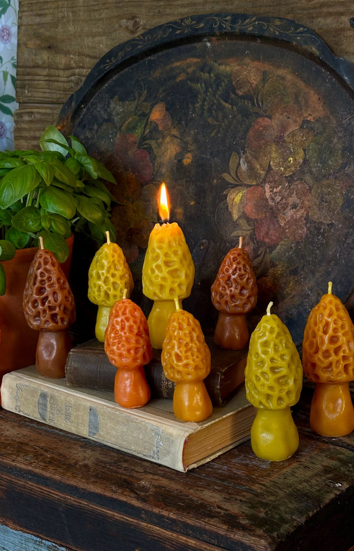 BEESWAX MUSHROOM CANDLE SET