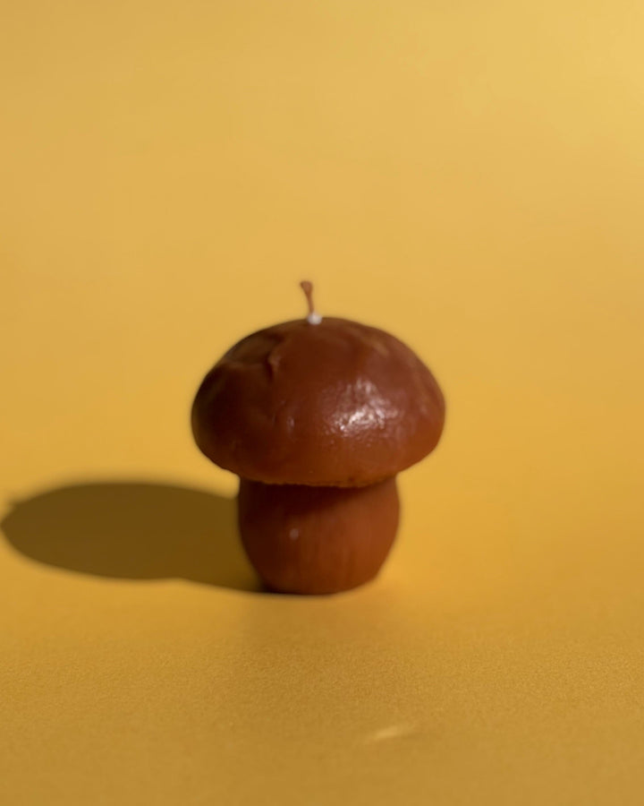 BEESWAX BOLETUS CANDLE