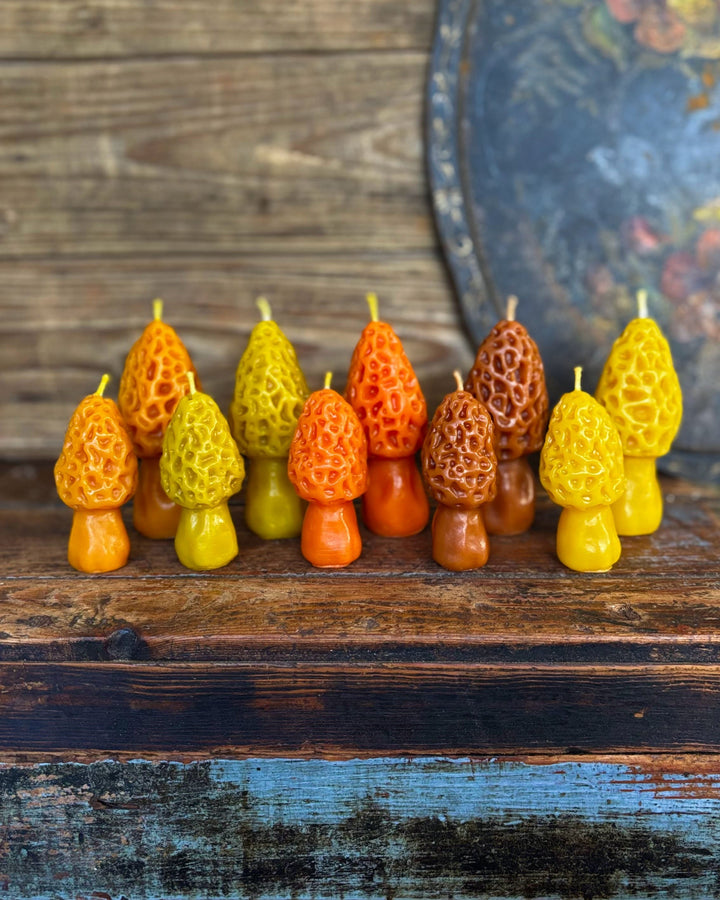 BEESWAX MOREL CANDLE SET