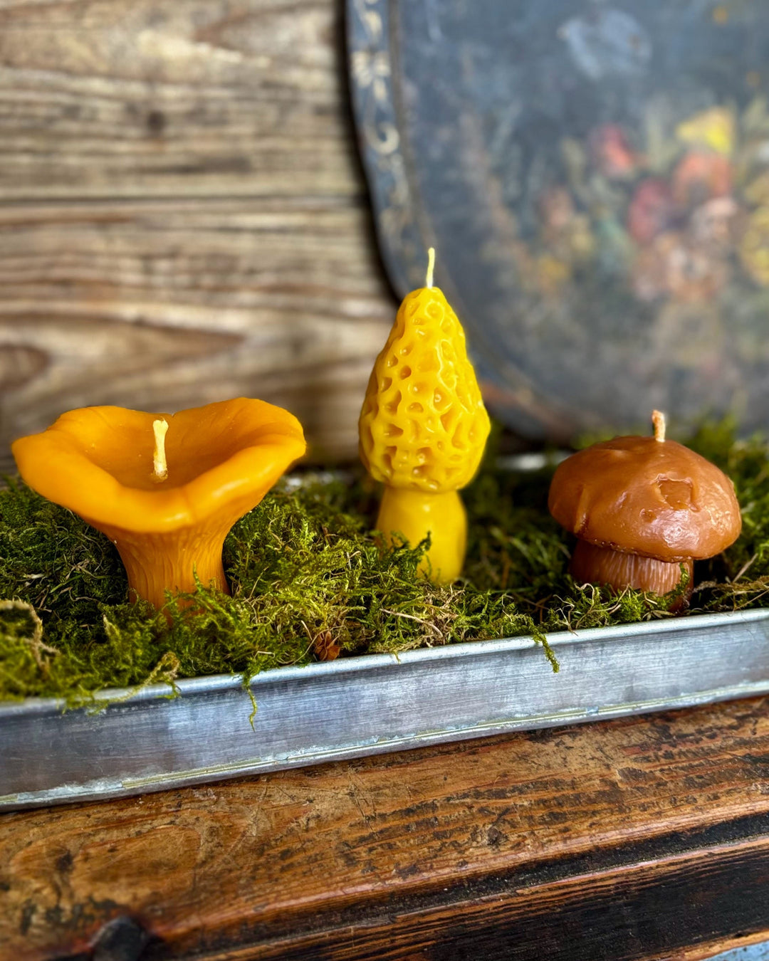 BEESWAX MUSHROOM CANDLE SET