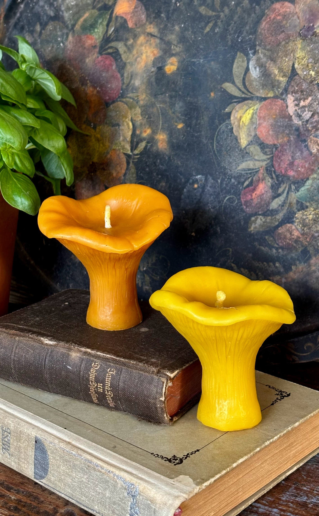 BEESWAX CHANTERELLE CANDLE