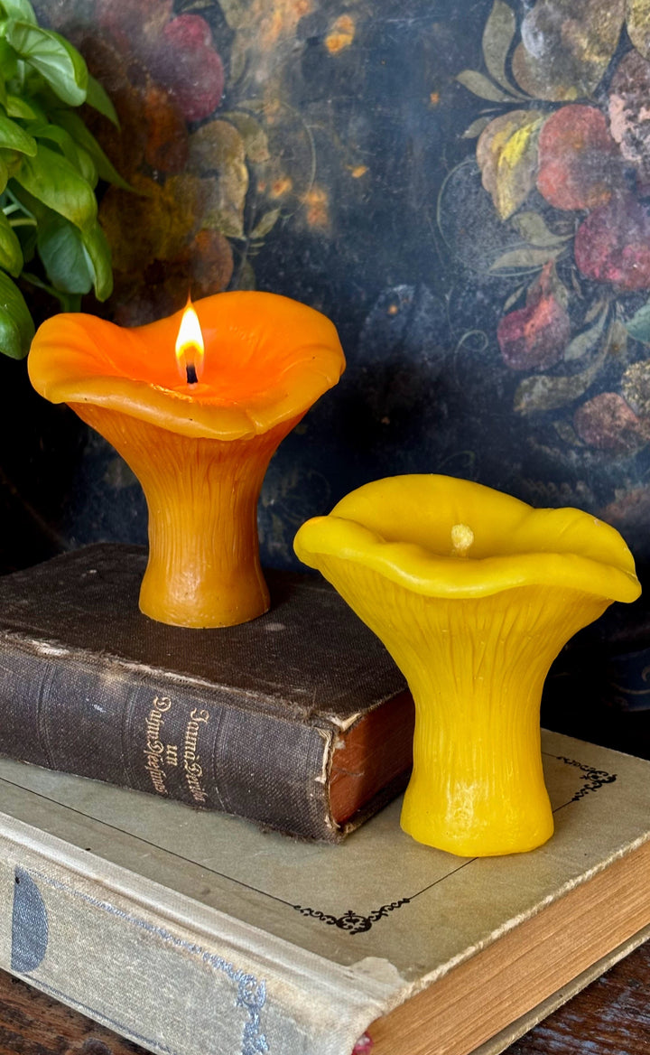 BEESWAX MUSHROOM CANDLE SET