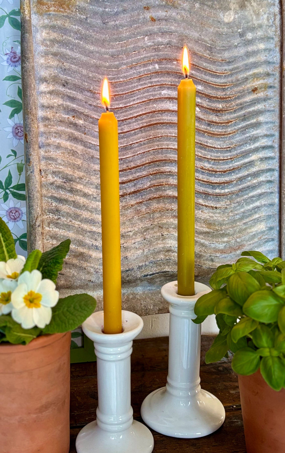 Beeswax taper candles