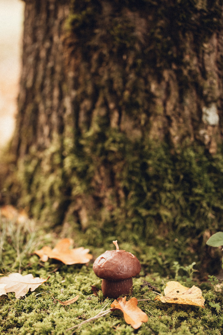 BEESWAX BOLETUS CANDLE