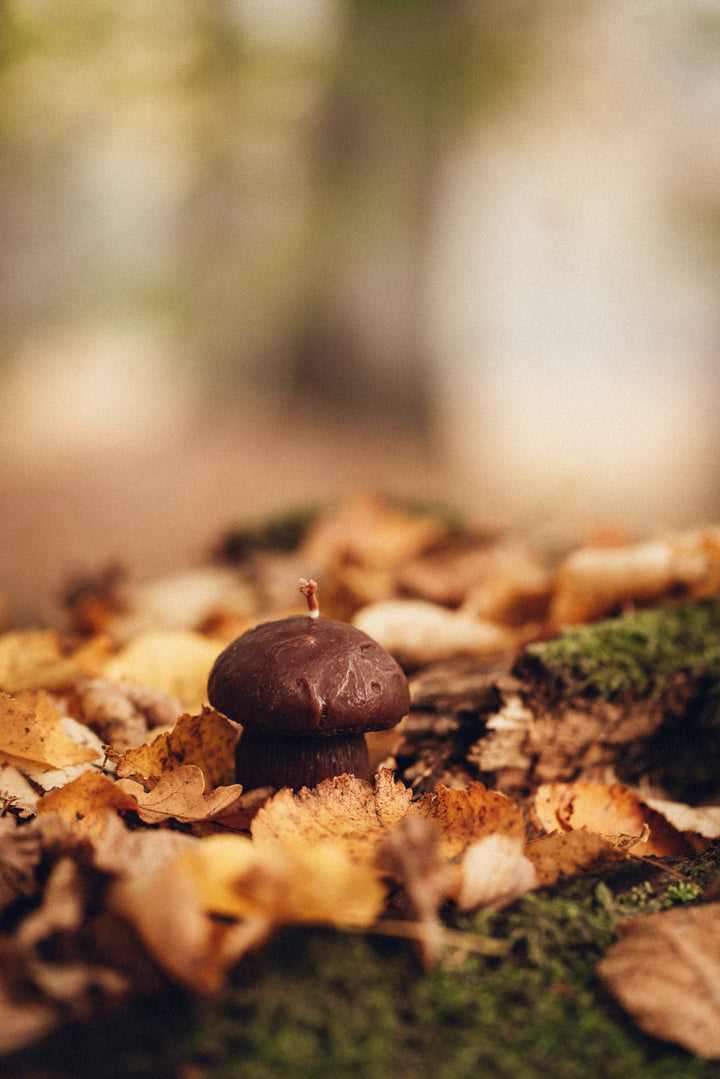 BEESWAX BOLETUS CANDLE