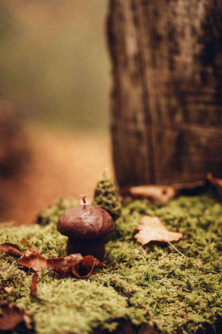BEESWAX BOLETUS CANDLE